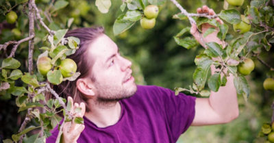 Trồng rau, thảo mộc và trái cây trong khu vườn, chia sẻ nó với cộng đồng
