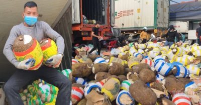 Tin tức tối 24/12: Thêm 16.157 ca Covid-19, hơn 200 người tử vong; Trăm nghìn tấn trái cây ùn ứ cửa khẩu, người dân Lạng Sơn ngợp trong ‘biển’ mít