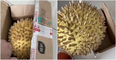 Săn sale sầu riêng online, khách ‘hết hồn’ với thứ bên trong