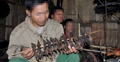 3 người ngộ độc, nguy kịch sau khi ăn thịt chuột