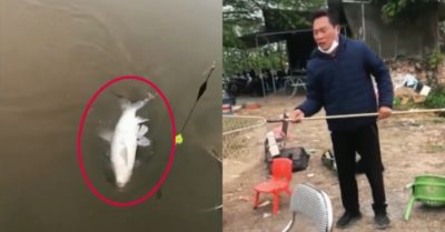Video: Cần thủ tiếc ngẩn người khi tuột mất con cá to