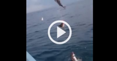 Video: Cần thủ thích thú khi năm con cá to cắn câu cùng lúc