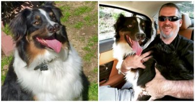 Clip: Chú chó kỳ lạ có hai chiếc mũi