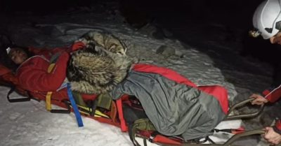 Trượt ngã khi đi leo núi, người đàn ông giữ được tính mạng nhờ chó ủ ấm suốt 13 tiếng