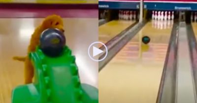 Video: Chú chó cưng có biệt tài chơi Bowling cực đỉnh