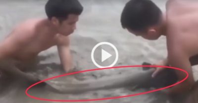 Video: Hai thanh niên phấn khích khi bắt được con cá trê khủng