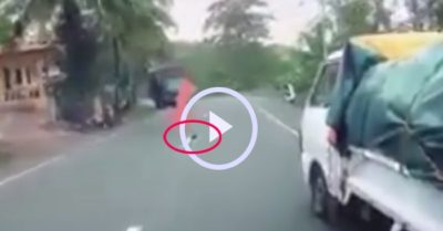 Video: Cún cưng liều lĩnh nằm ngủ giữa đường đông đúc xe cộ qua lại