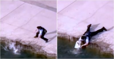 Video: Cảnh sát tay không cứu chú chó bị ngã xuống sông