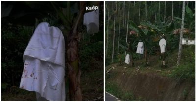 Tài xế ‘rớt tim’ khi thấy bóng trắng lập lờ ẩn hiện trong vườn chuối