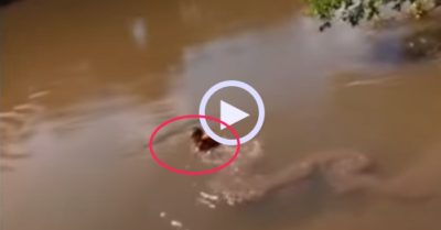 Video: Nghẹt thở khoảnh khắc cậu bé đi câu cá bị cá lôi xuống hồ
