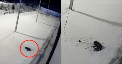 Video: Bé 5 tuổi tự ngồi dậy sau khi rơi xuống từ tầng 12