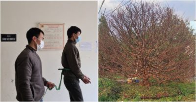 Tin tức tối 16/1: Thêm 15.684 ca Covid-19; Cứa cổ tài xế taxi, cướp 500.000 đồng; Xuất hiện cây mai vàng ‘đỉnh của đỉnh’