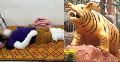 Tin tức tối 26/1: Thêm 15.954 ca Covid-19; Dựng cây nêu, 3 người bị điện cao thế giật cháy sém người; Tượng hổ giống ‘lợn quay’ gây tranh cãi, chuyên gia văn hóa nói gì?