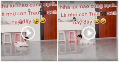 Clip: Nhà sạch bóng nhờ ‘robot’ chạy bằng sữa