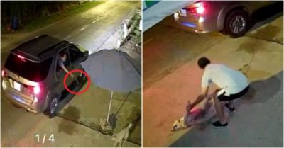 Tin tức tối 3/1: Thêm gần 16.000 ca Covid-19; Đi xế hộp trộm chó