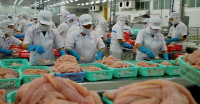 Xuất khẩu thủy sản sang Trung Quốc xuống thấp nhất trong 5 năm