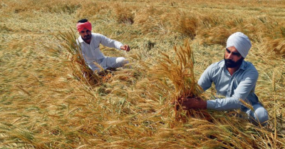 Câu chuyện 2 người bạn và 2 bao gạo: Đừng bao giờ cầu xin Thượng đế nếu thiếu 1 điều này