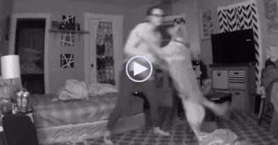 Video: Chó cưng nhanh chóng đỡ cô chủ suýt ngã vì say rượu