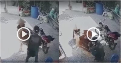 Clip: Cặp đôi vụng về làm vỡ toang chum sành