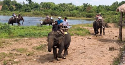 Đắk Lắk được AAF hỗ trợ 2 triệu USD để dẹp bỏ du lịch cưỡi voi