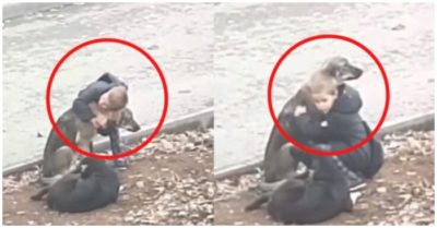 Video: Cậu bé âu yếm ôm chú chó vào lòng khi thấy ai cũng phớt lờ nó