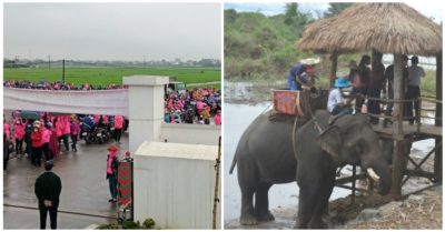 Tin tức sáng 10/2: Nghệ An: Hàng nghìn công nhân ngừng việc tập thể ngày thứ 3; Du khách xót xa trước cảnh voi bị hành hạ, cõng khách đến bật máu