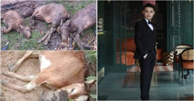 Tin tức tối 22/2: Số mắc Covid-19 mới tăng vọt lên 55.879 ca; Hình ảnh trâu, bò chết rét la liệt; ‘Bác sĩ giả’ Nguyễn Quốc Khiêm: Tôi đã sai, muốn nói lời xin lỗi cộng đồng