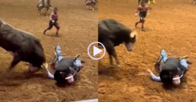 Video: Bố mạo hiểm lấy thân mình che cho con trai khi bị bò tót húc