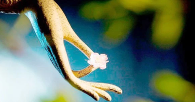 Người biết buông bỏ thì cuộc đời mới thong dong tự tại