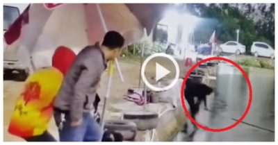 Video: Cần thủ ngã xuống hồ khi giật cá