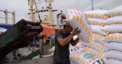 Giá phân bón Trung Quốc xuất sang Việt Nam tăng 64%