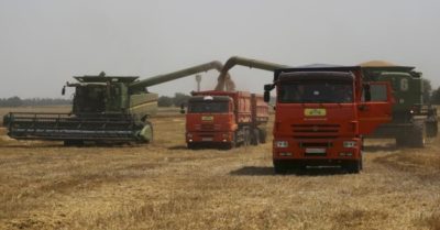 Giá lương thực thế giới có thể tăng 20% vì chiến sự Nga-Ukraine