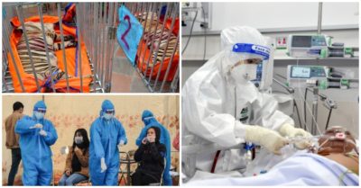 Tin tức sáng 4/3: Người nuôi 14 con hổ lĩnh án 7 năm tù; Thứ trưởng Y tế: Người dân nên test nhanh mẫu gộp gia đình; Bộ Y tế yêu cầu niêm yết giá kit xét nghiệm