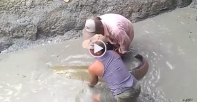 Video: Cả làng háo hức đi xem bắt cá ‘khổng lồ’