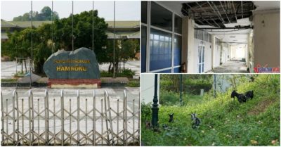 Thanh Hoá: Trung tâm hội nghị trăm tỷ ở Hàm Rồng thành nơi chăn dê