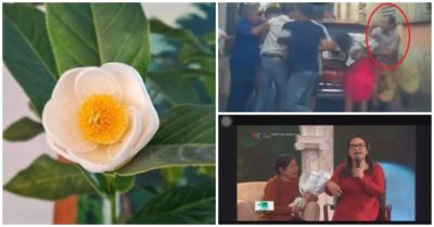 Tin tức sáng 14/4: Cục trưởng Cục Trồng trọt: Bạch hải đường là cây bình thường, không quý hiếm; Đình chỉ đại úy công an hành hung phụ nữ