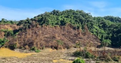 Để mất 2.850 ha rừng tự nhiên: Giám đốc Sở NN-PTNT Quảng Nam nói gì?