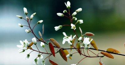 Sống ở đời, thuận theo tự nhiên là điều tốt nhất