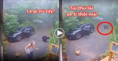Clip: Gái xinh tá hỏa, hét lớn khi thấy gấu trong xe