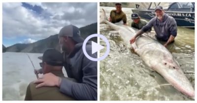 Video: Hai người đàn ông vật lộn câu cá khủng nặng 317 kg