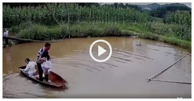 Video: Cá khủng nhảy lên thuyền khiến bé gái hoảng sợ