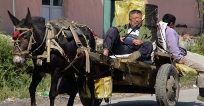 Tỷ phú Elon Musk dự báo Trung Quốc sẽ ‘sụp đổ về dân số’