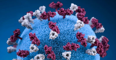 Dòng phụ BA.5 của Omicron có nguy cơ xâm nhập vào Việt Nam