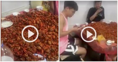 Clip: Bốn thực khách ăn buffet hết 80 kg tôm