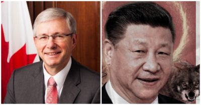 Cựu đại sứ: Canada cần cứng rắn hơn nhiều với Trung Quốc