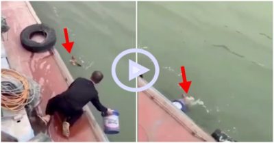 Clip: Mất cả chì lẫn chài khi bắt gà trên sông