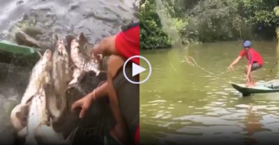 Video: Ngư dân quăng chài được mẻ cá to