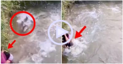 Clip: Bầy cá quá hung hăng khiến thanh niên phải co rúm