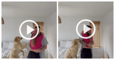 Video: Thấy chủ ôm nhau chú chó tỏ ra ghen tỵ