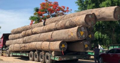 Vụ xe chở gỗ khủng thong dong qua nhiều tỉnh thành: CSGT Huế báo cáo không phát hiện